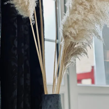 De Charme Avec Balcon - Les Iris